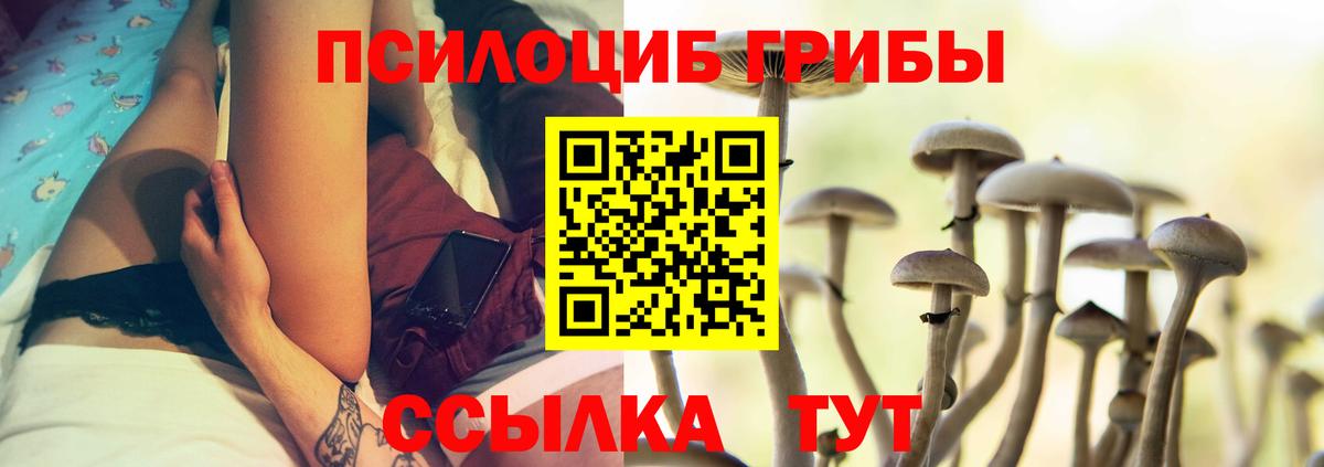 Псилоцибиновые грибы мухоморы Прохладный